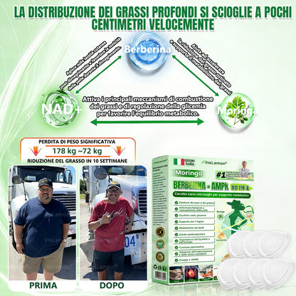 𝐈𝐧𝐬𝐋𝐞𝐦𝐨𝐧® Patch Nano-Microaghi 10-in-1 per il Supporto Metabolico — Una volta al giorno, risultati visibili in 7 giorni 🌸(Supporta la gestione del peso, tonicità della pelle,equilibrio della glicemia, qualità del sonno) 🇮🇹