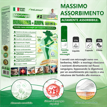 𝐈𝐧𝐬𝐋𝐞𝐦𝐨𝐧® Patch Nano-Microaghi 10-in-1 per il Supporto Metabolico — Una volta al giorno, risultati visibili in 7 giorni 🌸(Supporta la gestione del peso, tonicità della pelle,equilibrio della glicemia, qualità del sonno) 🇮🇹