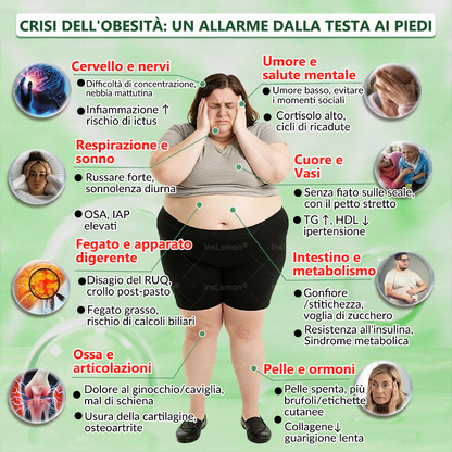 𝐈𝐧𝐬𝐋𝐞𝐦𝐨𝐧® Patch Nano-Microaghi 10-in-1 per il Supporto Metabolico — Una volta al giorno, risultati visibili in 7 giorni 🌸(Supporta la gestione del peso, tonicità della pelle,equilibrio della glicemia, qualità del sonno) 🇮🇹